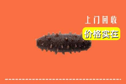诚信求购:莆田市荔城高价回收海参