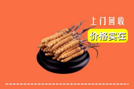 莆田市荔城回收冬虫夏草