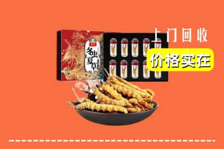莆田市荔城回收虫草